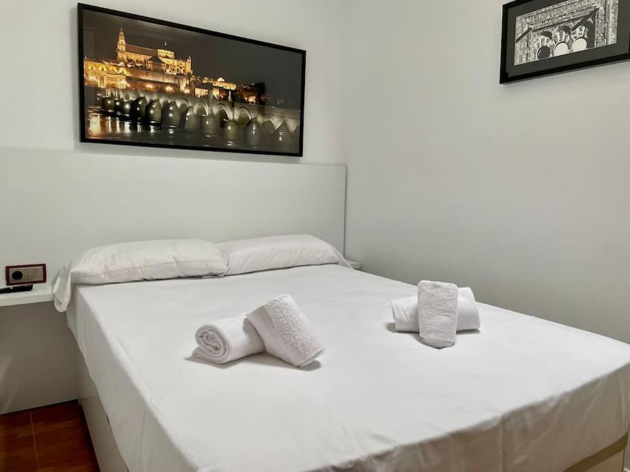 El Rincon De La Mezquita Apartment Cordoba Ngoại thất bức ảnh